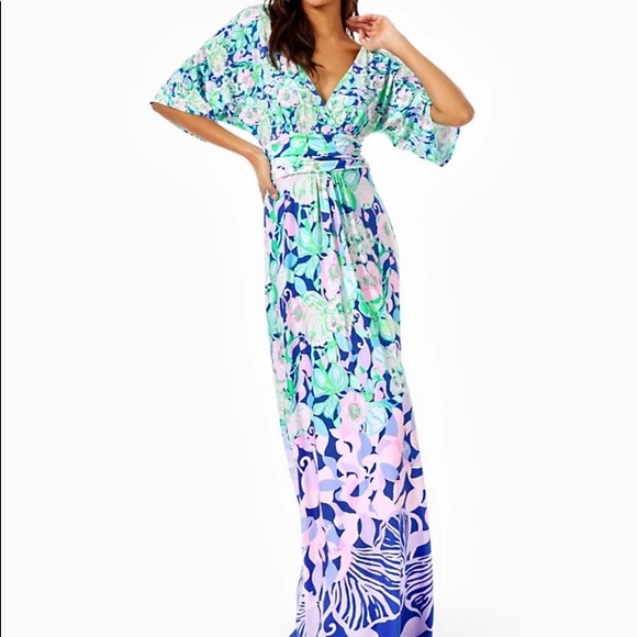 Lilly Pulitzer Dresses & Skirts - Lilly Pulitzer beak calm carry on parigi maxi dress